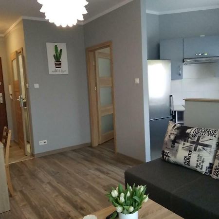 Apartament Edelmana Apartamento Gorzów Wielkopolski Exterior foto
